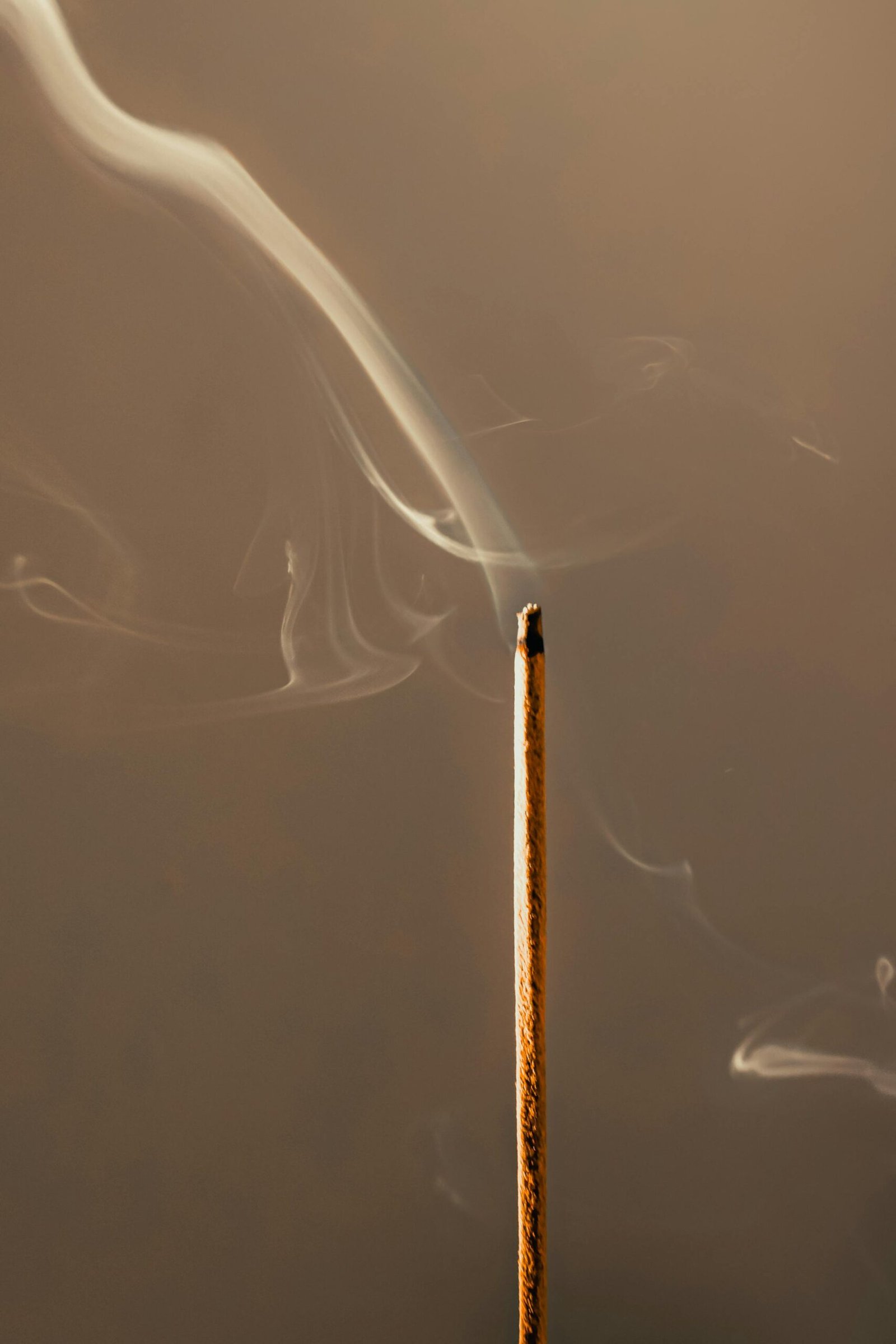 A tranquil close-up of a burning incense stick emitting delicate smoke against a neutral background.